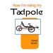 Now I'm Riding My Tadpole