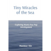 Tiny Miracles of the Sea: Exploring Manta Ray Pup Development