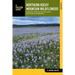 Northern Rocky Mountain Wildflowers