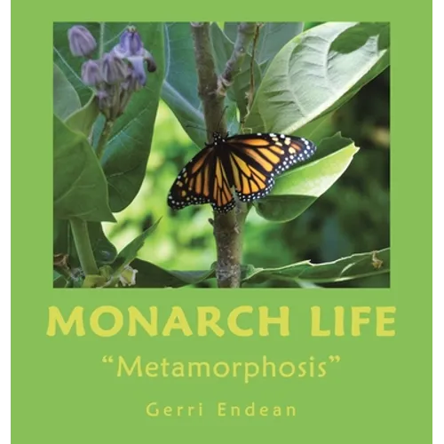 Monarch Life: "Metamorphosis"