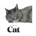 The Book of the Cat: Cats in Art