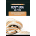 Rosy Boa as Pets: Understanding Habitat, Feeding, Handling, Breeding, Morphs, Lifespan, Health, Behavior, Temperature, Humidity, Lightin
