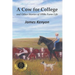 A Cow for College: and Other Stories of 1950s Farm Life