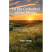 In the Cathedral of the Plains