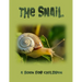 The Snail - a book for children: The life of a snail