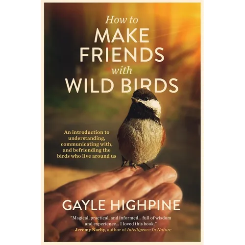 How To Make Friends With Wild Birds