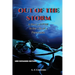 Out of the Storm: A Story of PTSD in the Life of a Paramedic
