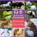 My first words Animal: Bilingual (Tibetan and English)