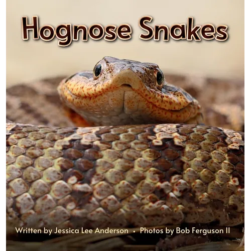 Hognose Snakes