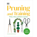 Pruning and Training: What, When, and How to Prune