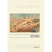 Vintage Lined Notebook Greetings from Sanibel Island, Florida
