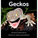 Geckos: Get to Know More About These Vocal Lizards!