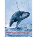 Snowball The Humpback Whale
