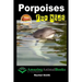 Porpoises For Kids