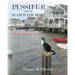 Pussifur and the Search for Home: A True Nantucket Story