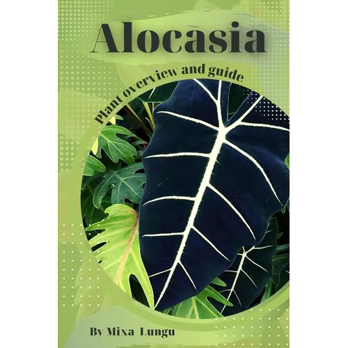 Alocasia: Plant overview and guide