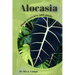 Alocasia: Plant overview and guide