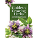 Guide to Growing Herbs